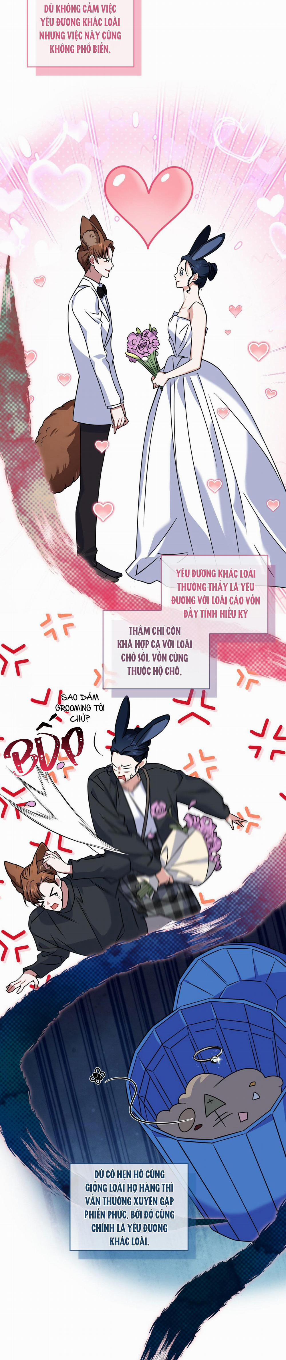 NƯỚC UỐNG TÌNH YÊU CỦA CÁO PLIN 21 trang 5