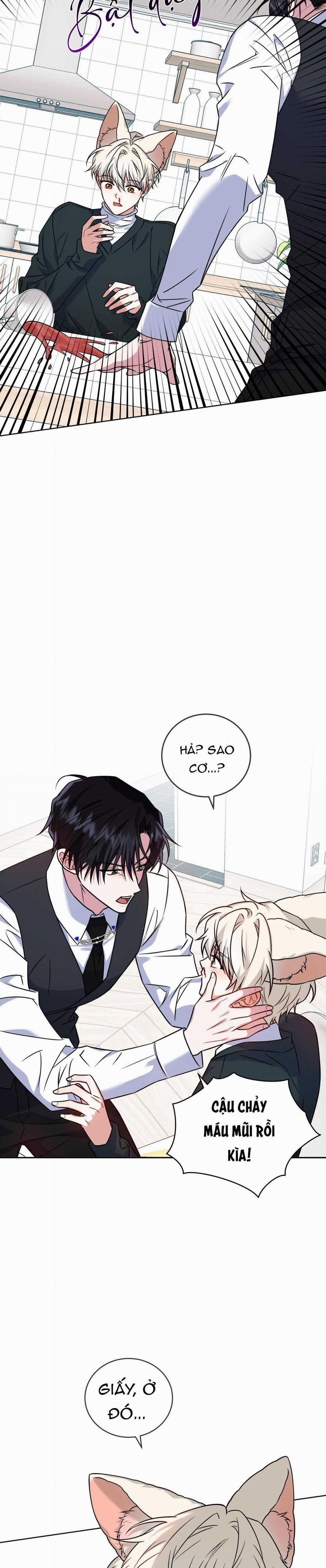 NƯỚC UỐNG TÌNH YÊU CỦA CÁO PLIN 22 trang 11