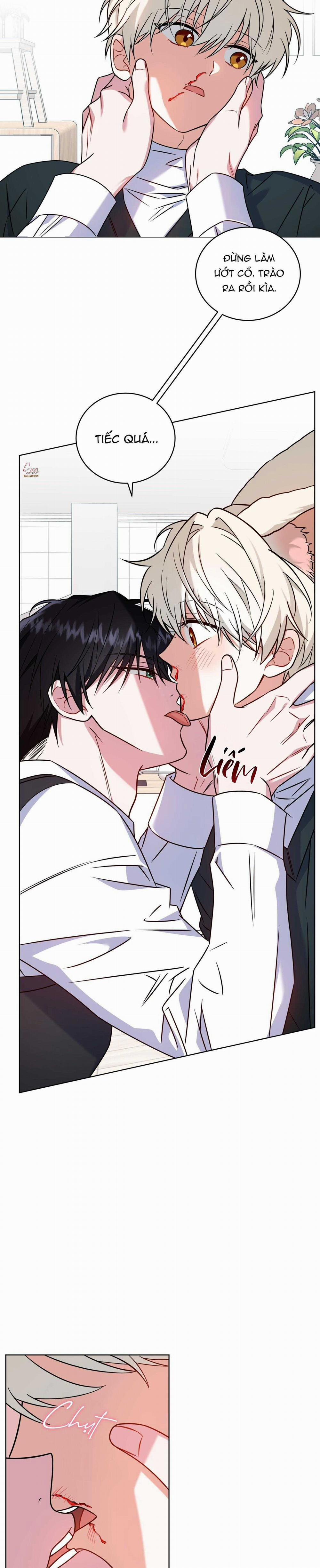 NƯỚC UỐNG TÌNH YÊU CỦA CÁO PLIN 22 trang 12