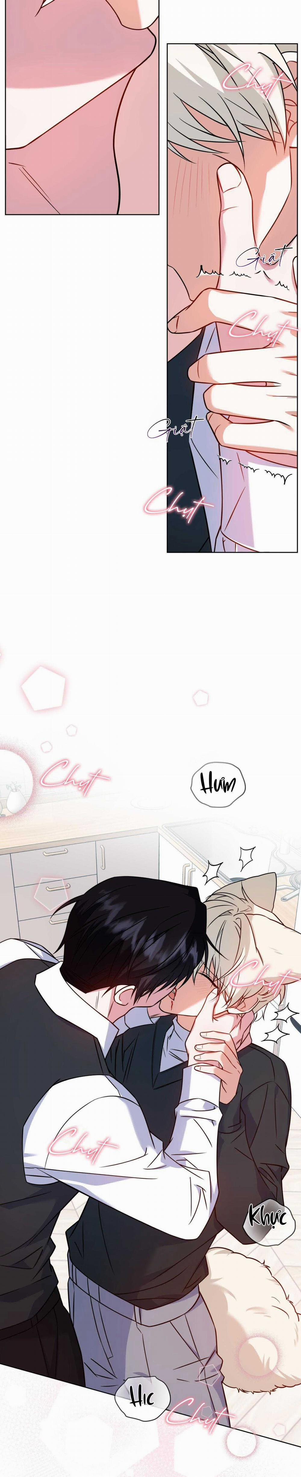 NƯỚC UỐNG TÌNH YÊU CỦA CÁO PLIN 22 trang 13