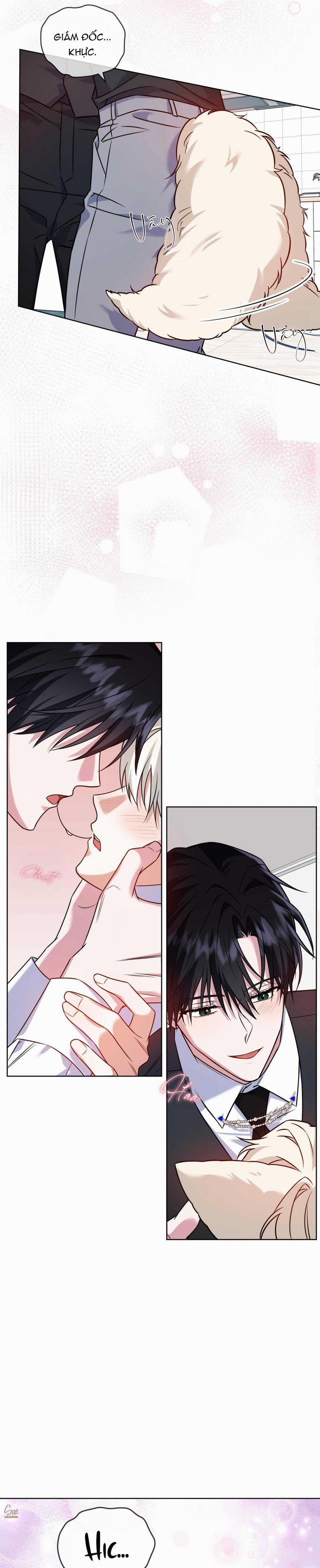 NƯỚC UỐNG TÌNH YÊU CỦA CÁO PLIN 22 trang 14