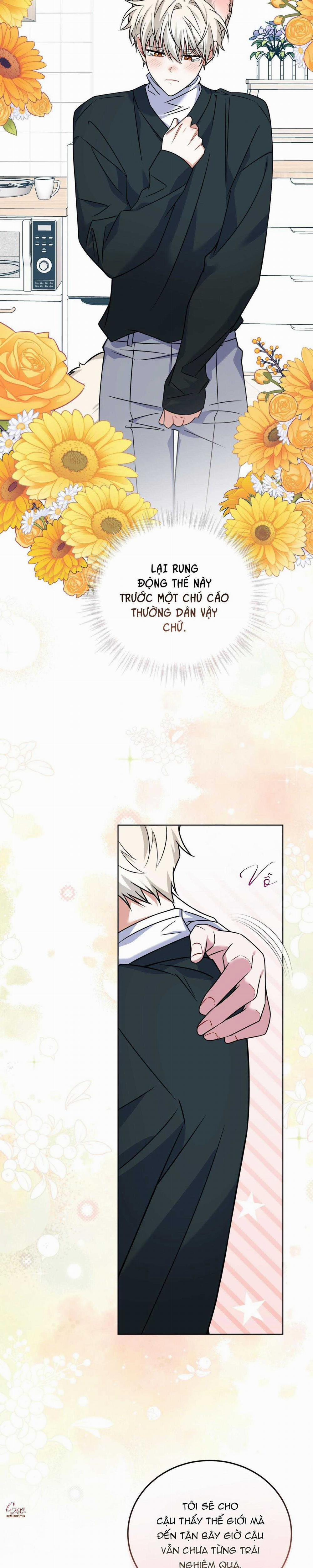 NƯỚC UỐNG TÌNH YÊU CỦA CÁO PLIN 22 trang 21