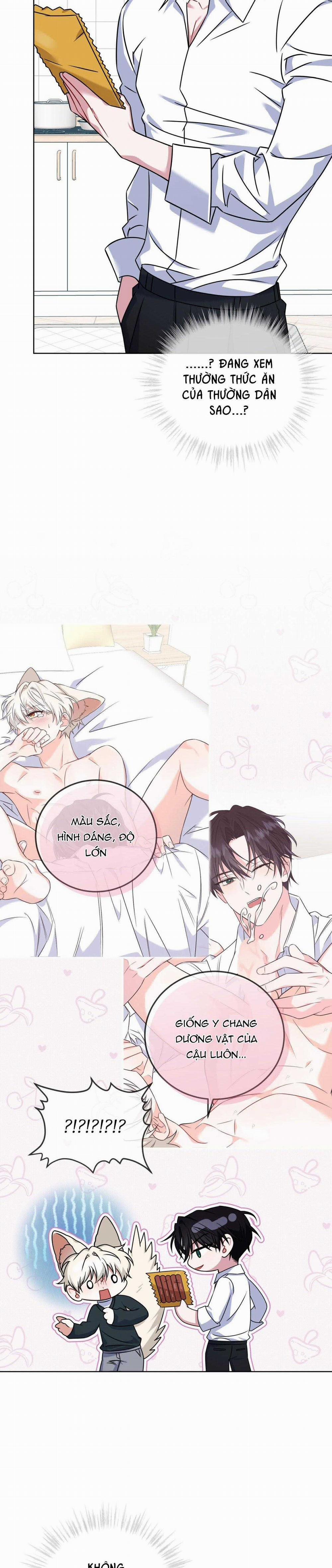 NƯỚC UỐNG TÌNH YÊU CỦA CÁO PLIN 22 trang 25