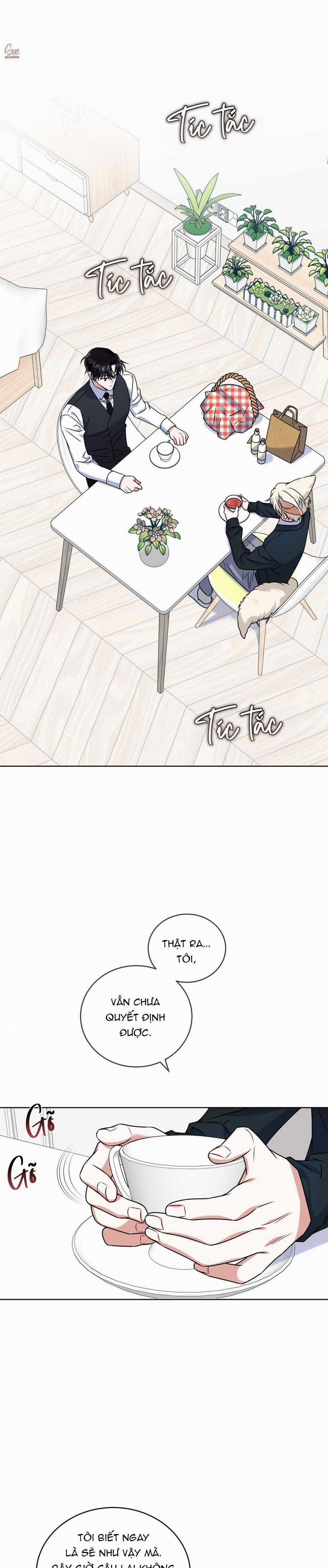 NƯỚC UỐNG TÌNH YÊU CỦA CÁO PLIN 22 trang 6