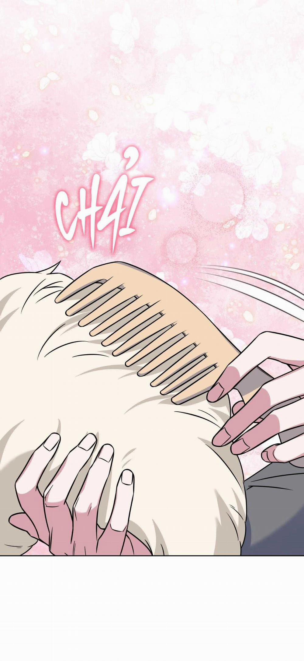 NƯỚC UỐNG TÌNH YÊU CỦA CÁO PLIN 24 trang 24