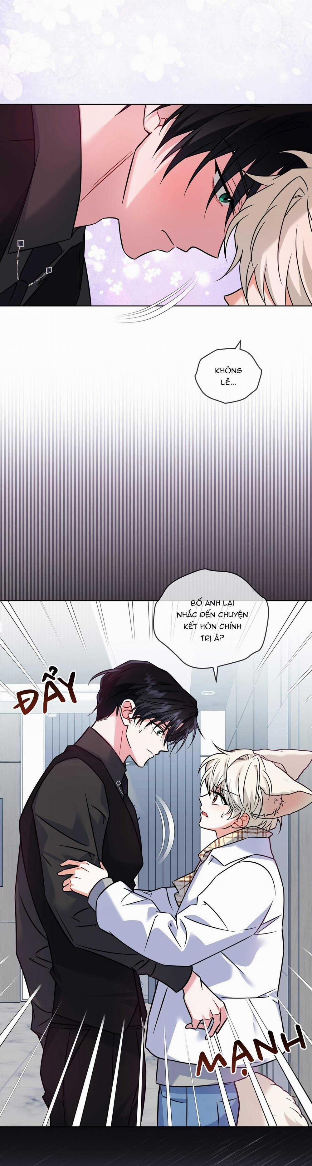 NƯỚC UỐNG TÌNH YÊU CỦA CÁO PLIN 27 trang 25