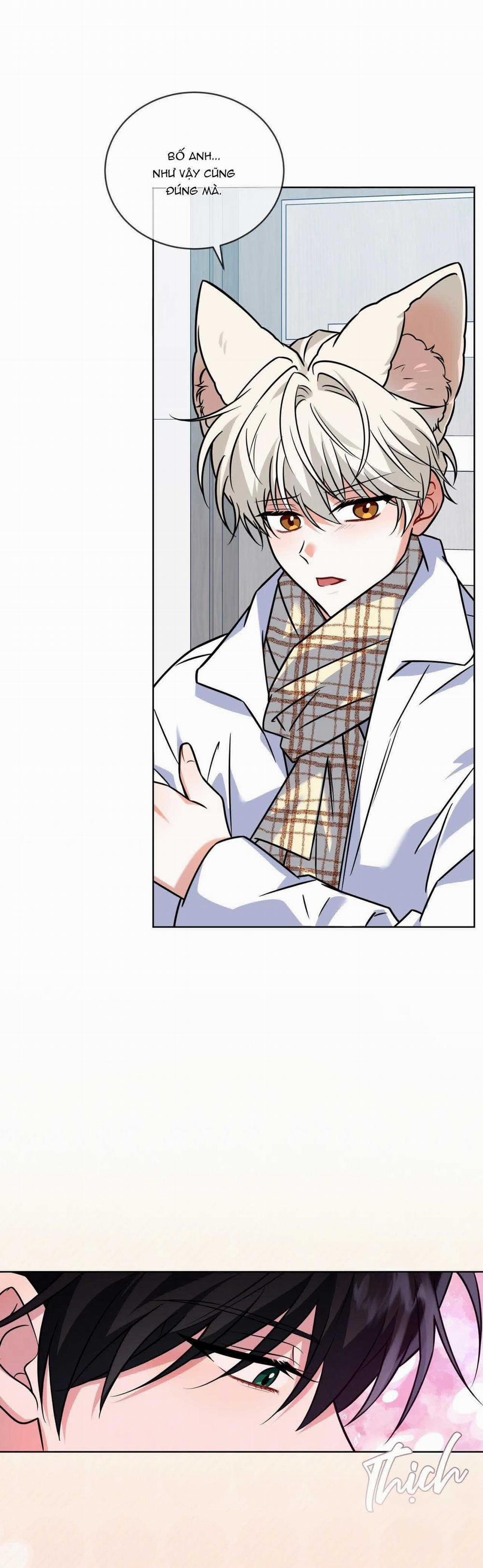 NƯỚC UỐNG TÌNH YÊU CỦA CÁO PLIN 27 trang 28