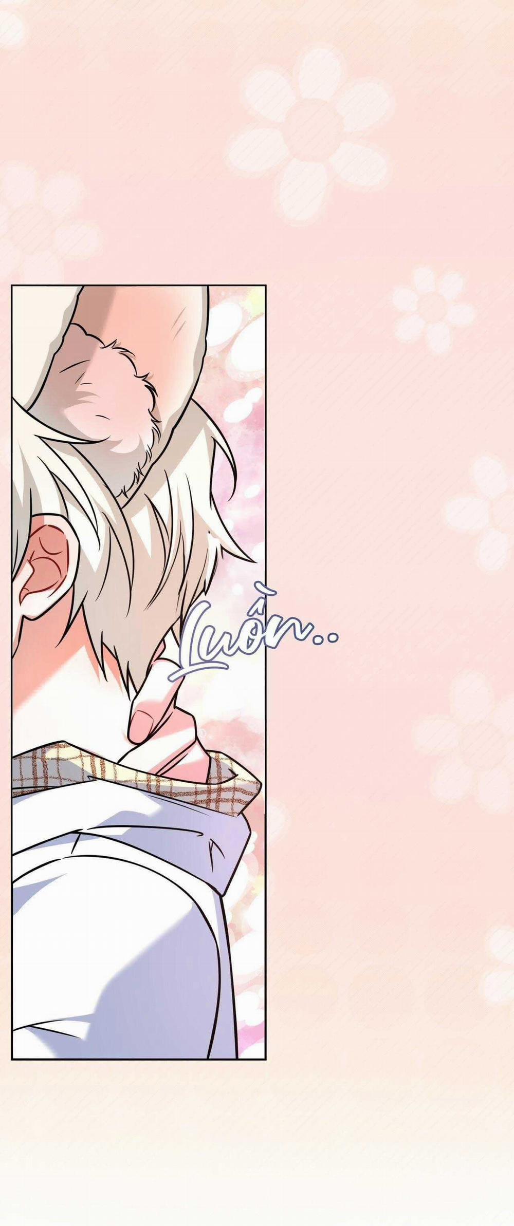 NƯỚC UỐNG TÌNH YÊU CỦA CÁO PLIN 27 trang 29