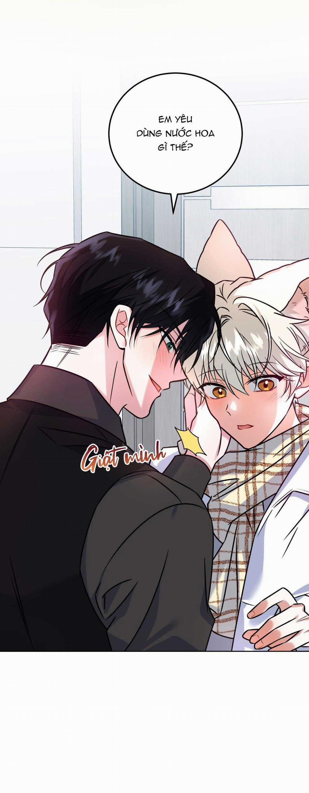 NƯỚC UỐNG TÌNH YÊU CỦA CÁO PLIN 27 trang 30