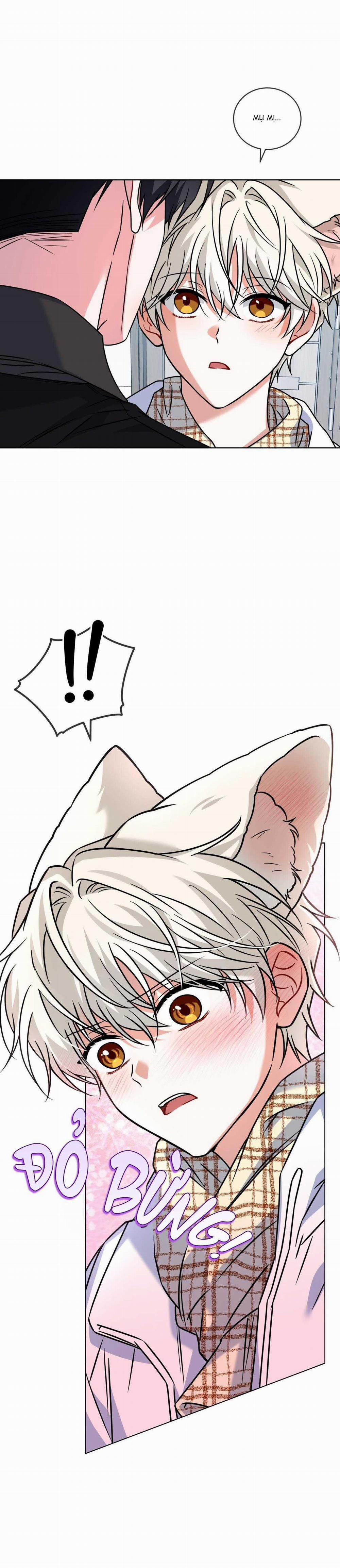 NƯỚC UỐNG TÌNH YÊU CỦA CÁO PLIN 27 trang 38