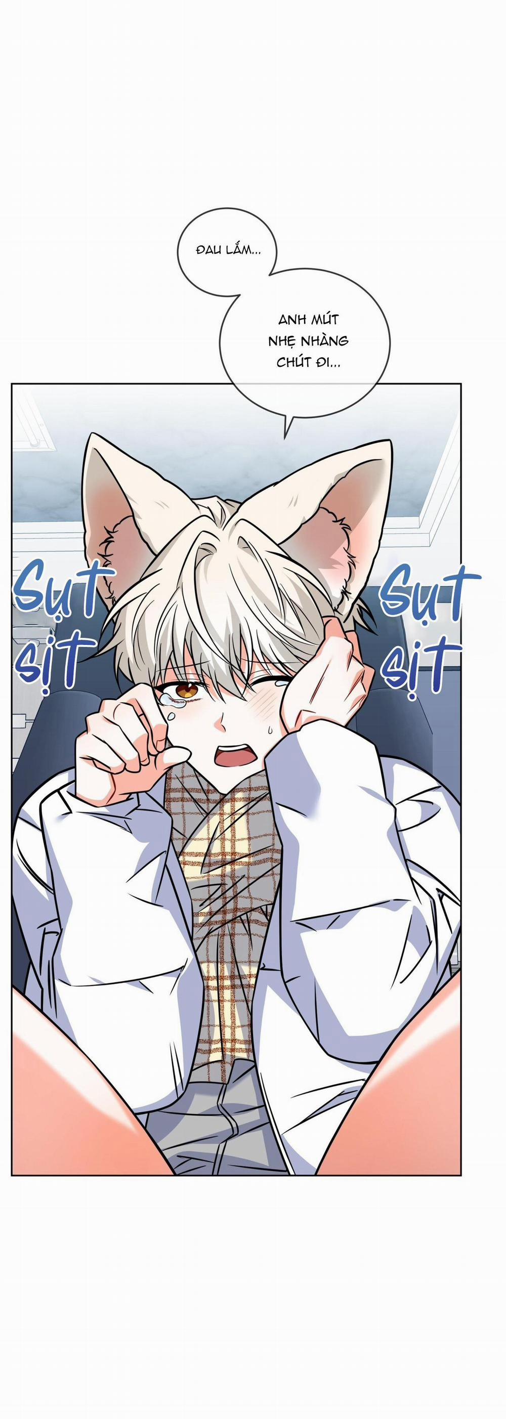 NƯỚC UỐNG TÌNH YÊU CỦA CÁO PLIN 28 trang 32