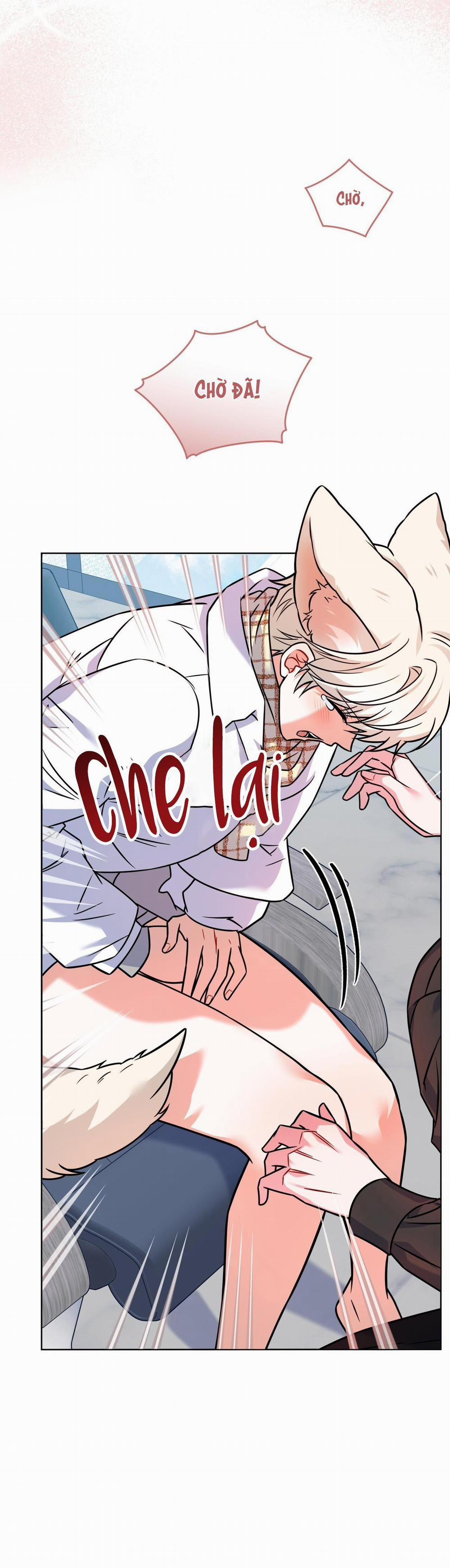 NƯỚC UỐNG TÌNH YÊU CỦA CÁO PLIN 28 trang 5