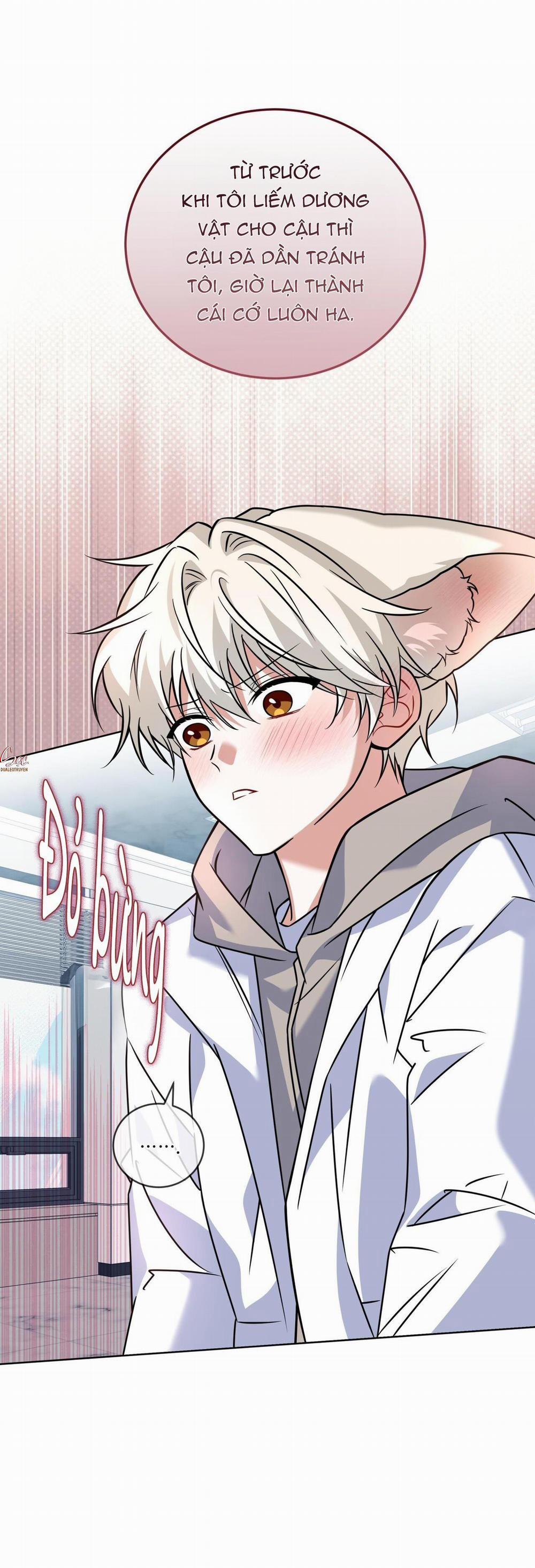 NƯỚC UỐNG TÌNH YÊU CỦA CÁO PLIN 29 trang 2