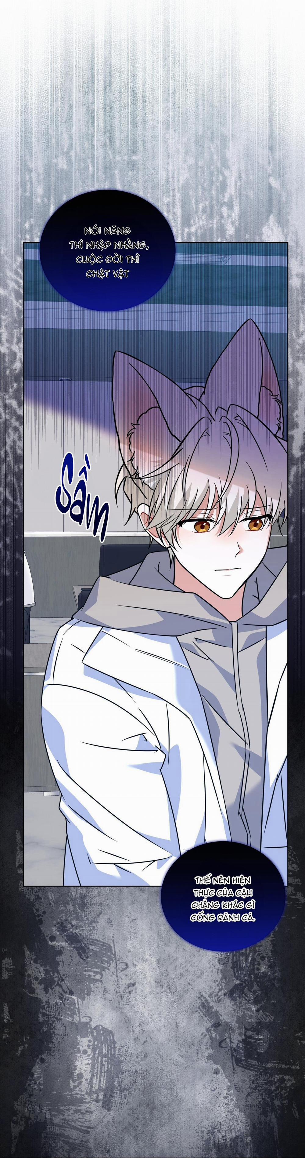 NƯỚC UỐNG TÌNH YÊU CỦA CÁO PLIN 29 trang 6