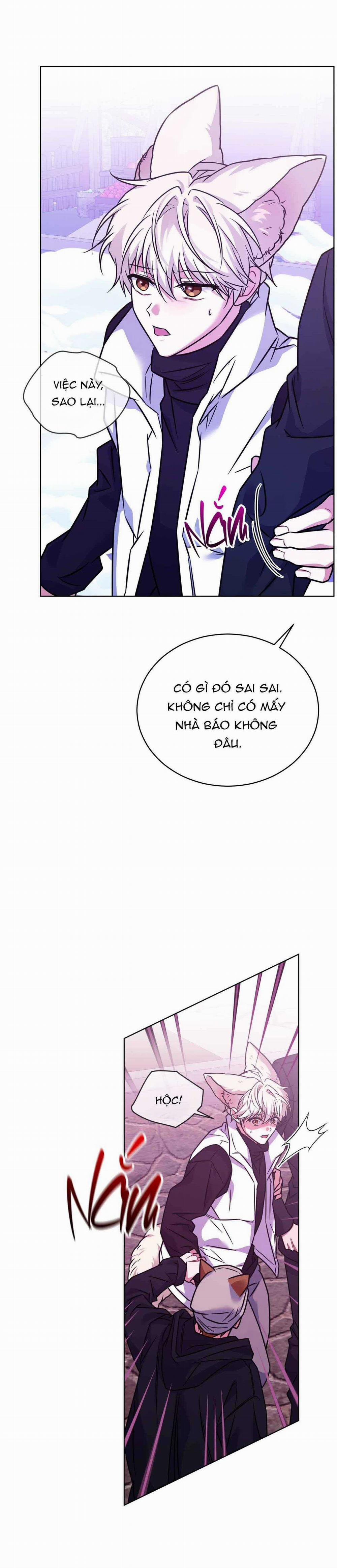 NƯỚC UỐNG TÌNH YÊU CỦA CÁO PLIN 32 trang 16