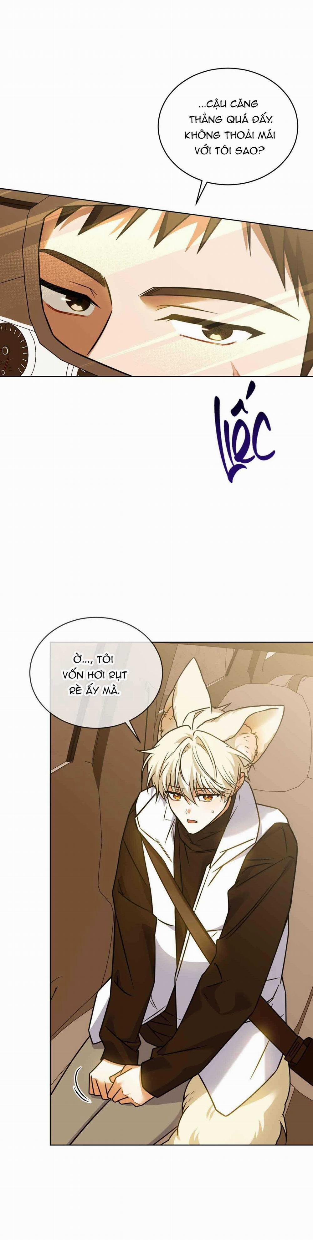 NƯỚC UỐNG TÌNH YÊU CỦA CÁO PLIN 32 trang 3