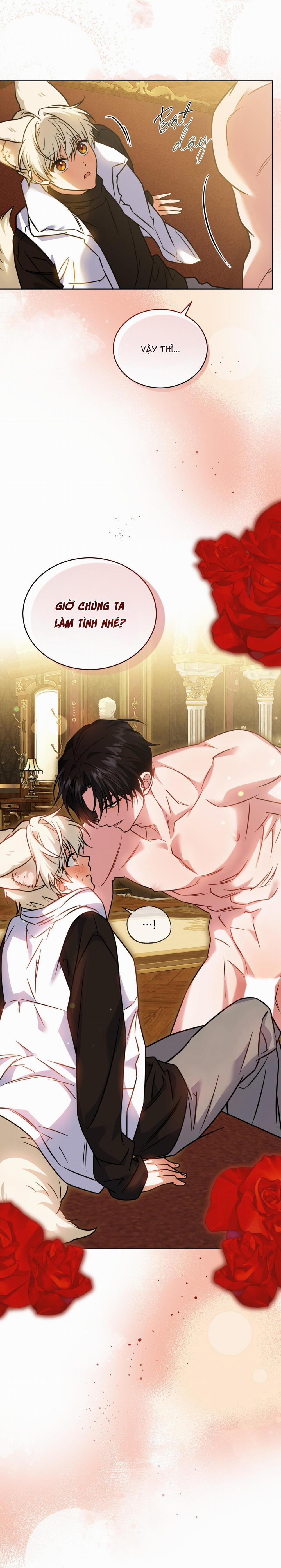 NƯỚC UỐNG TÌNH YÊU CỦA CÁO PLIN 33 trang 45