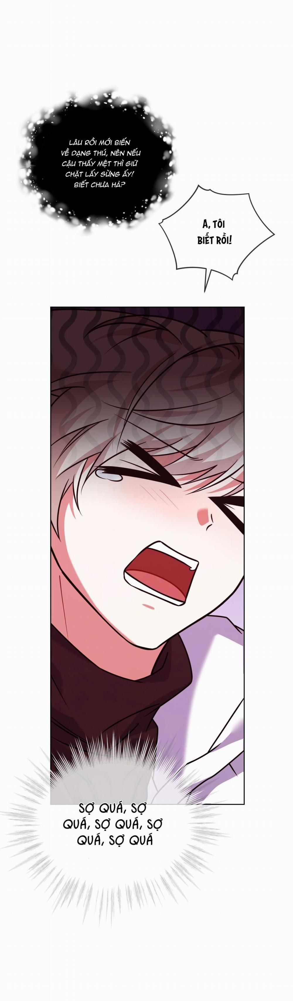 NƯỚC UỐNG TÌNH YÊU CỦA CÁO PLIN 33 trang 5