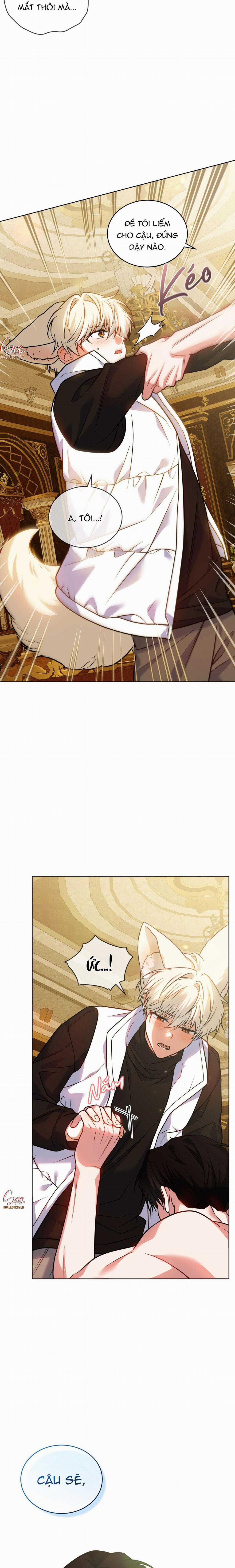 NƯỚC UỐNG TÌNH YÊU CỦA CÁO PLIN 34 trang 2