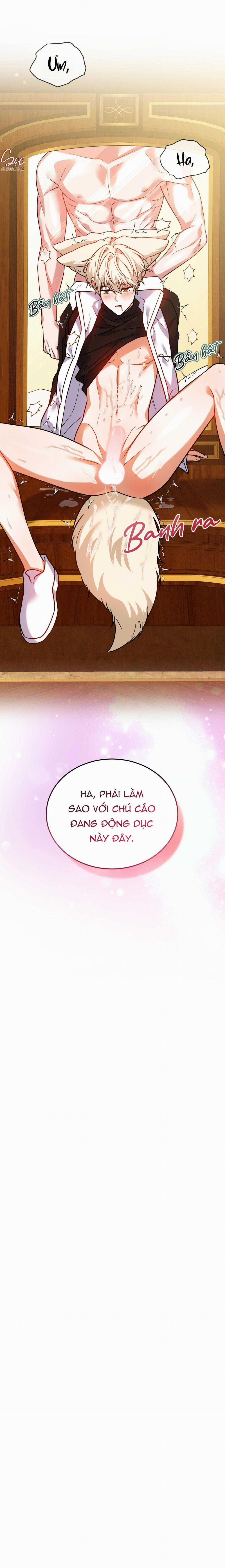 NƯỚC UỐNG TÌNH YÊU CỦA CÁO PLIN 34 trang 22