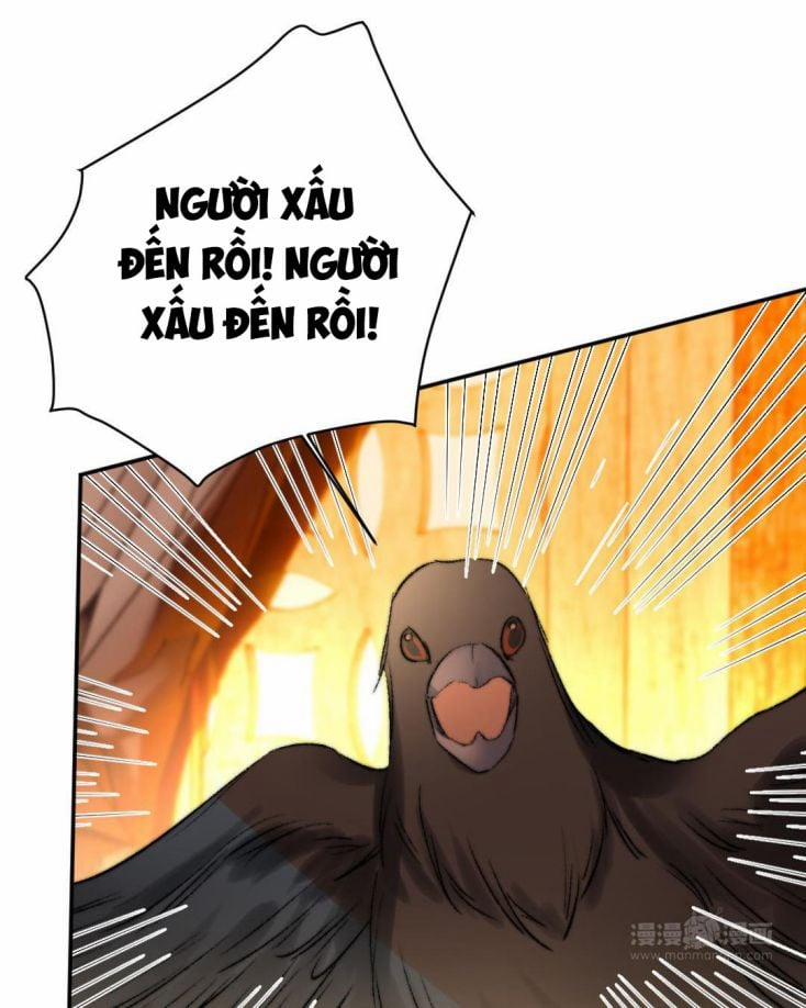 Ô Y Hạng Chi Tù Ái 7 trang 5