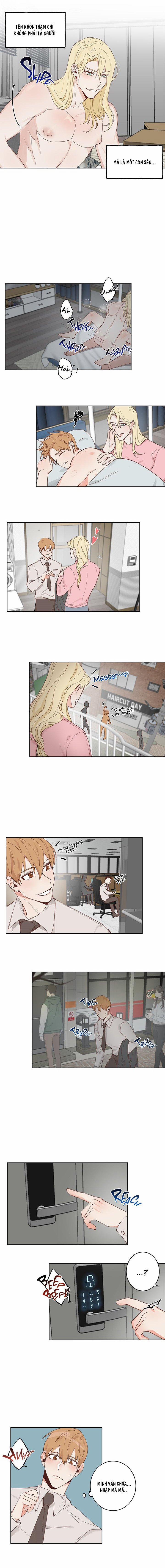 Ốc Sên: Cuộc Xâm Chiếm Trái Đất 3 trang 2