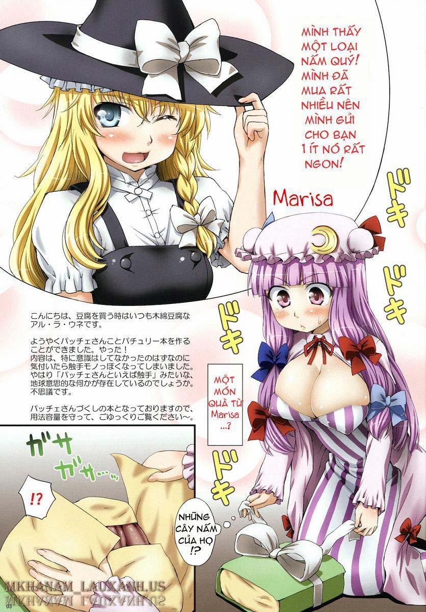 Oh! Patchouli and Marisa Mushrooms (Touhou) Oneshot [Full Color] trang 2
