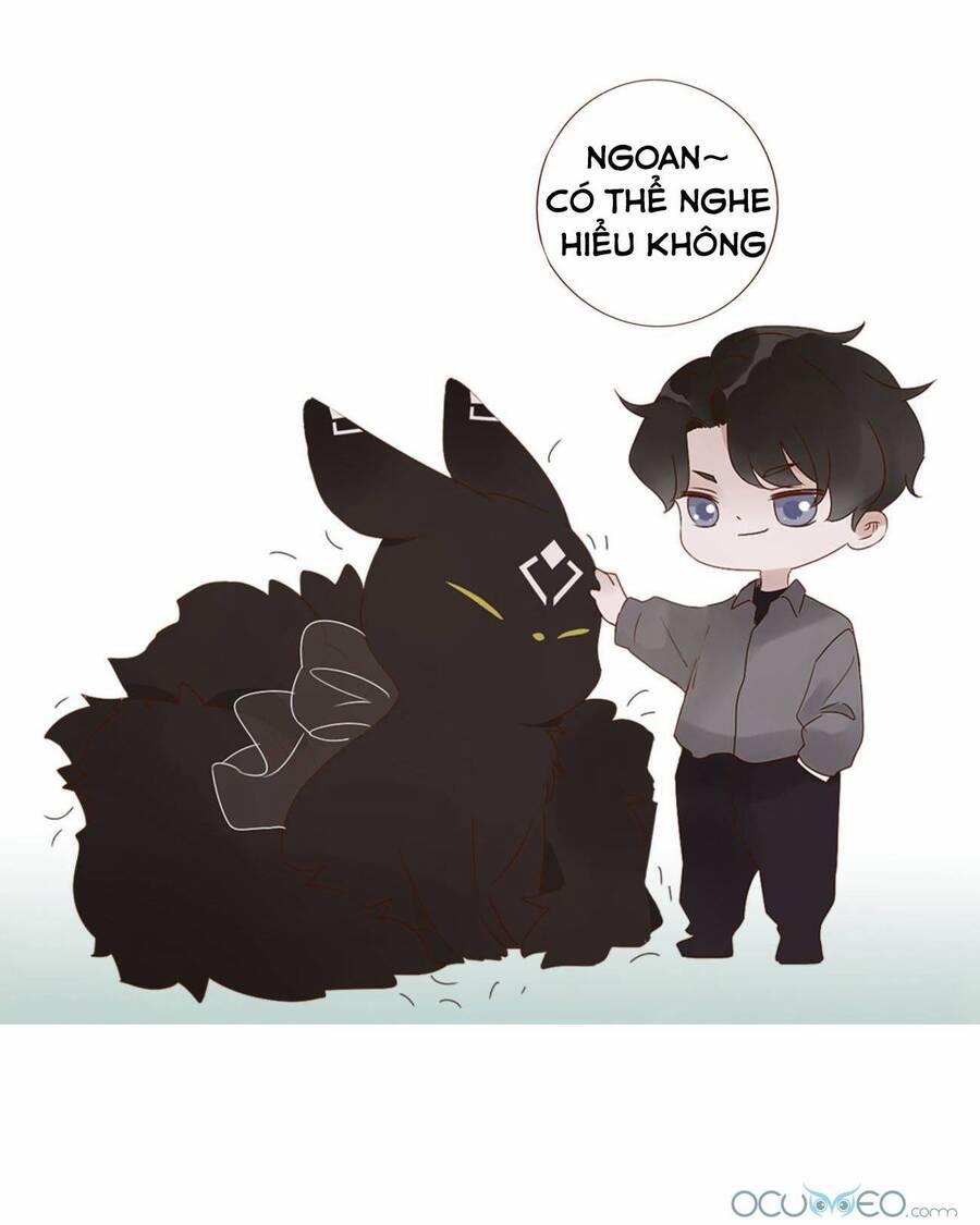 Ôm Hôn Mạc Nhiên 19 trang 49