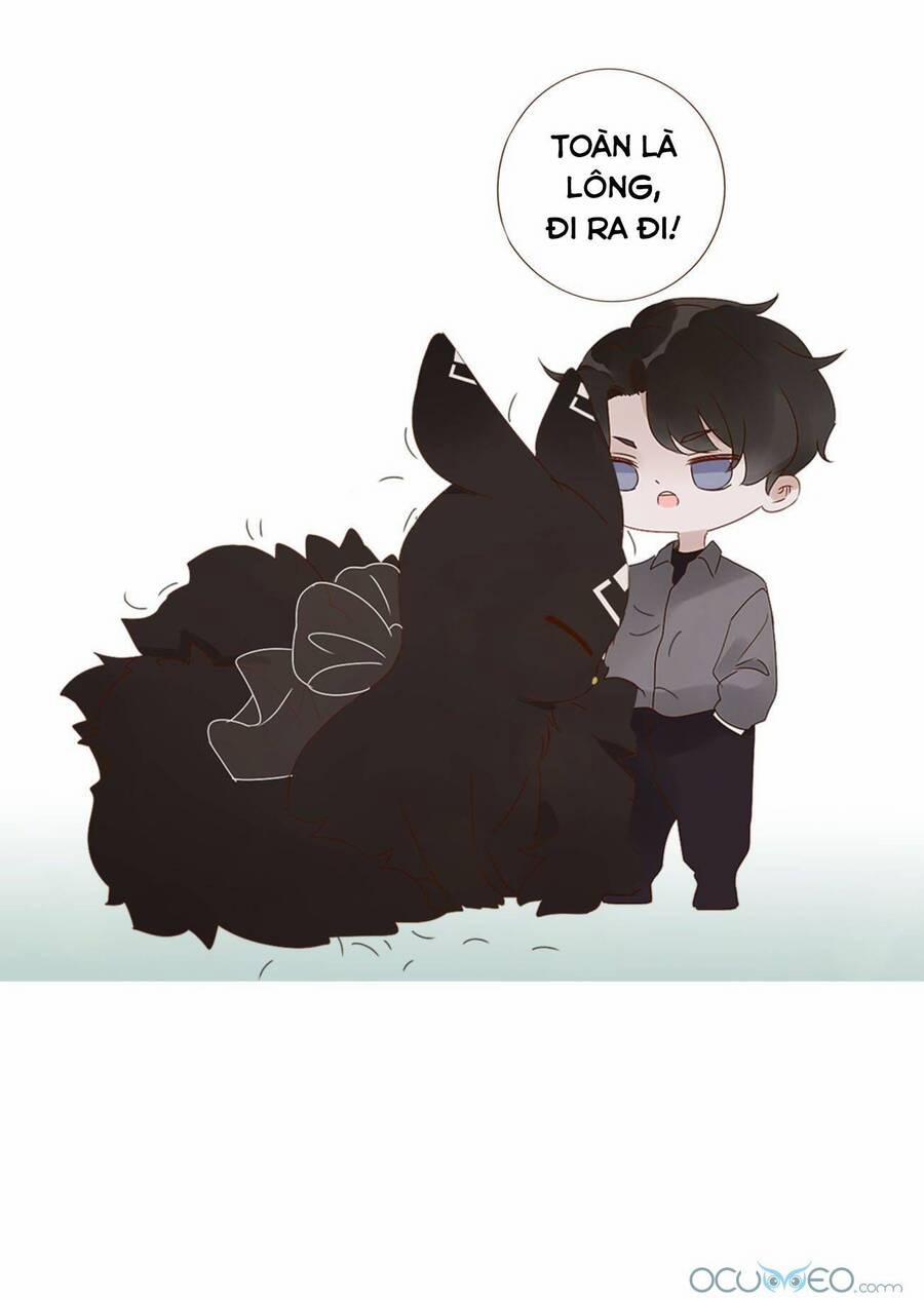 Ôm Hôn Mạc Nhiên 19 trang 50