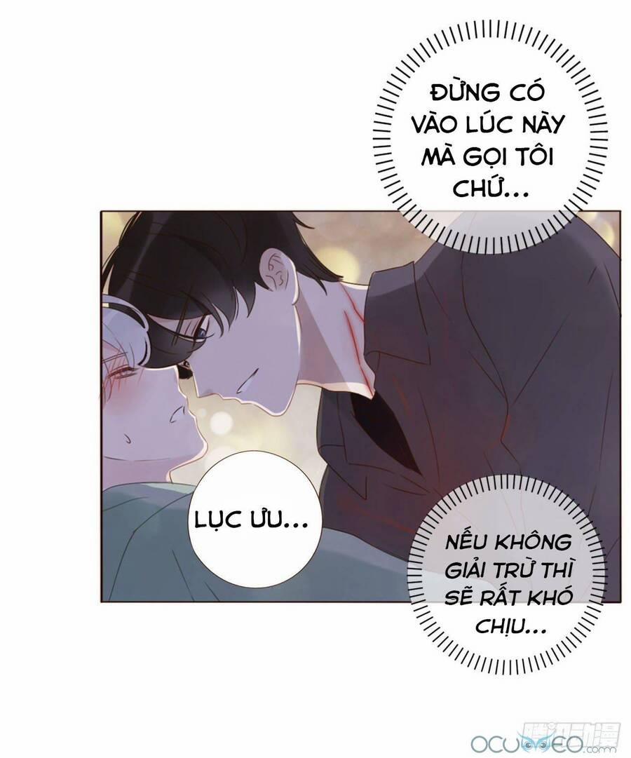 Ôm Hôn Mạc Nhiên 21 trang 24