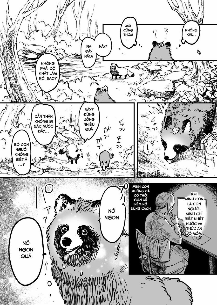 Omae, Tanuki Ni Naranee Ka? 1 trang 4