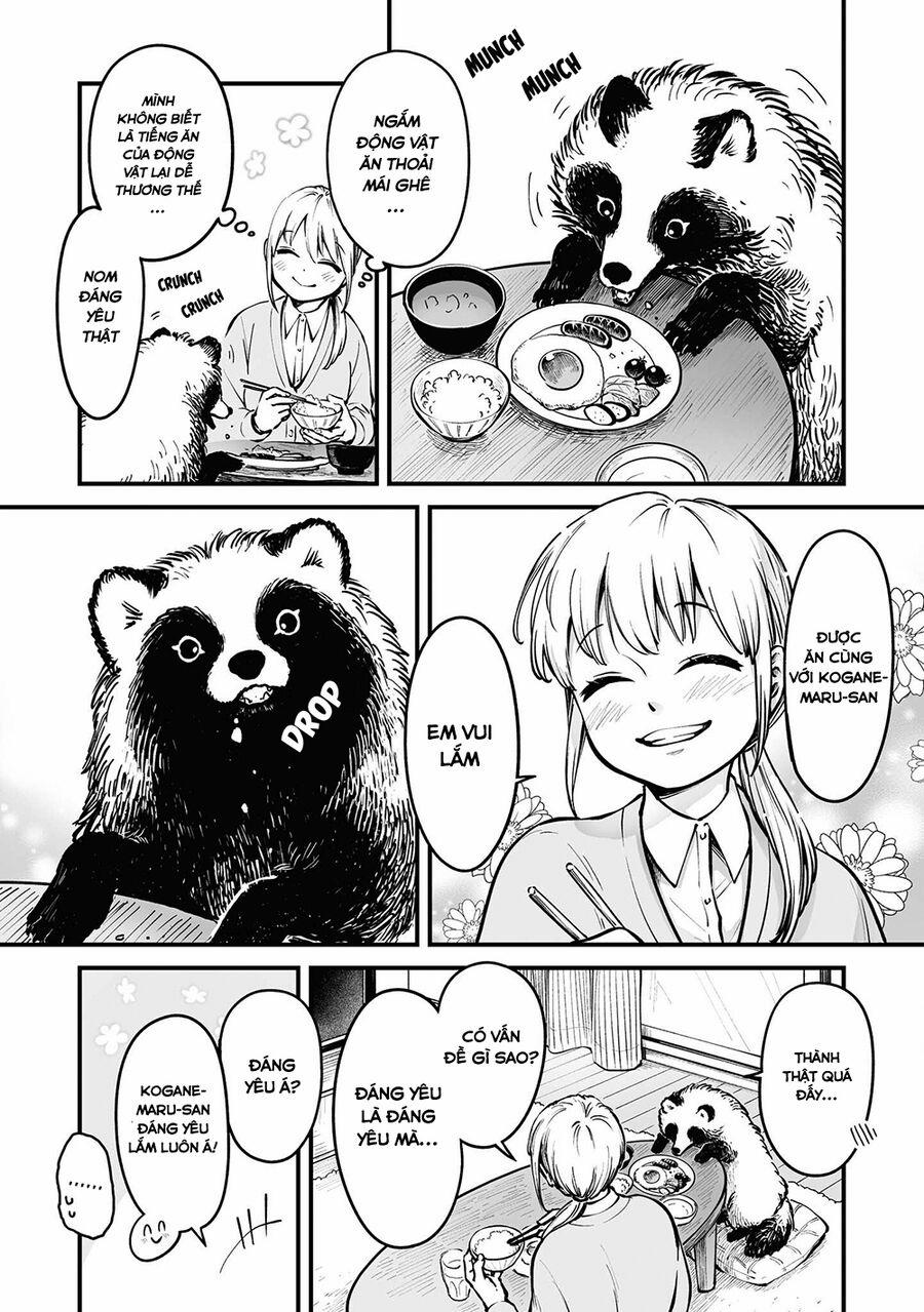 Omae, Tanuki Ni Naranee Ka? 10.2 trang 3