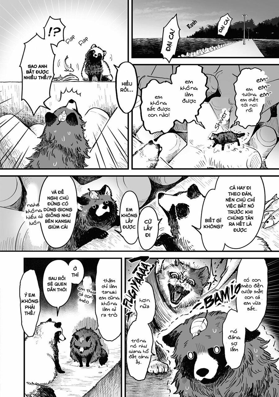 Omae, Tanuki Ni Naranee Ka? 13 trang 3