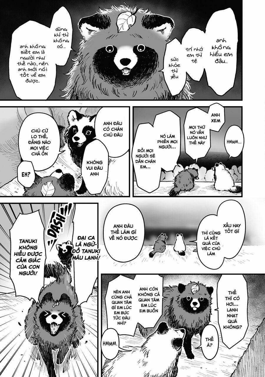 Omae, Tanuki Ni Naranee Ka? 13 trang 4