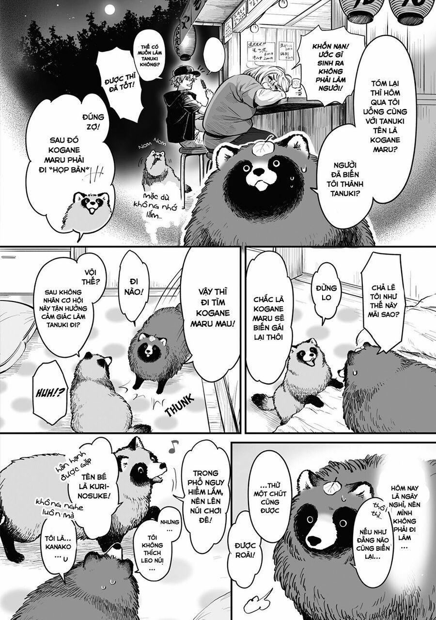 Omae, Tanuki Ni Naranee Ka? 15 trang 1