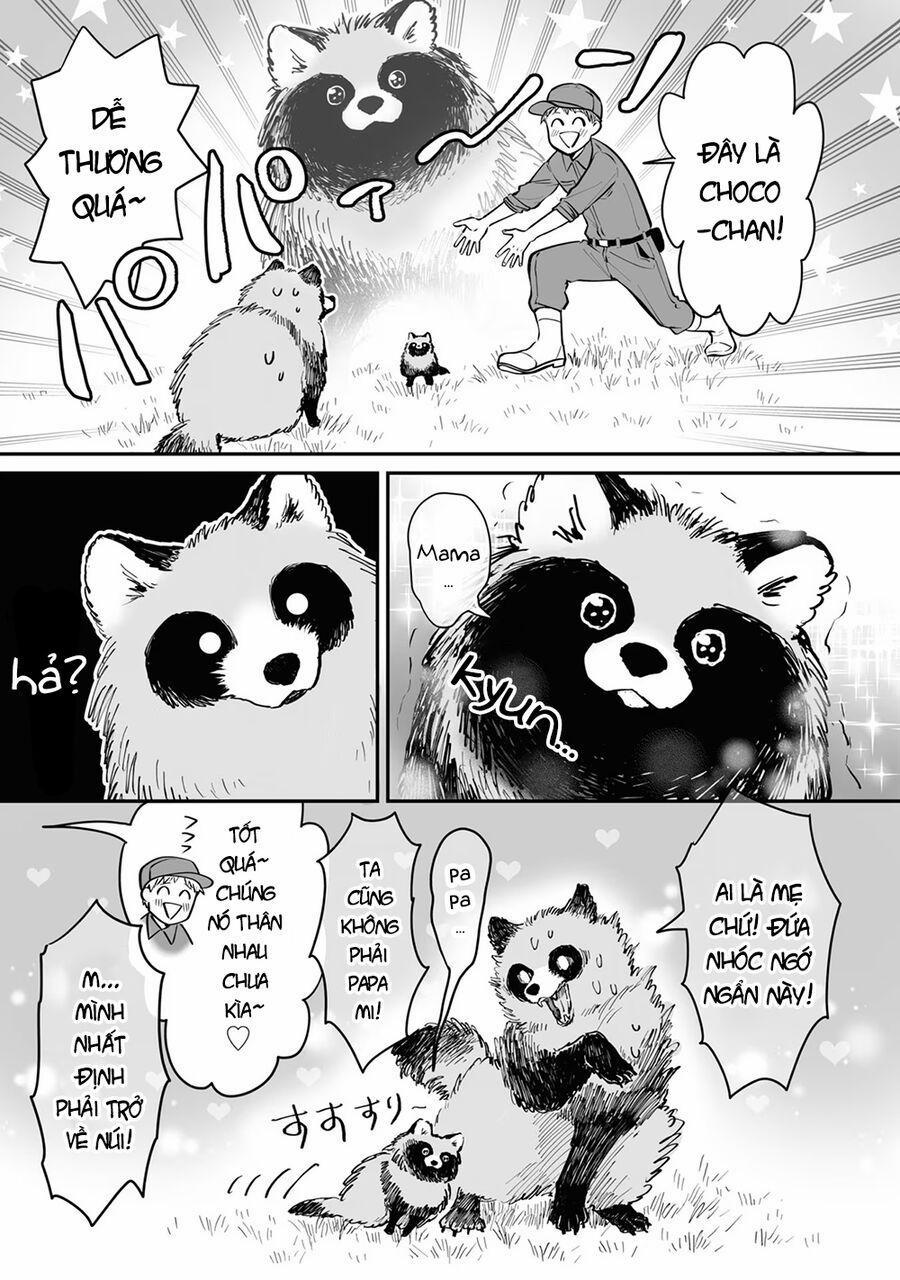 Omae, Tanuki Ni Naranee Ka? 20.5 trang 1
