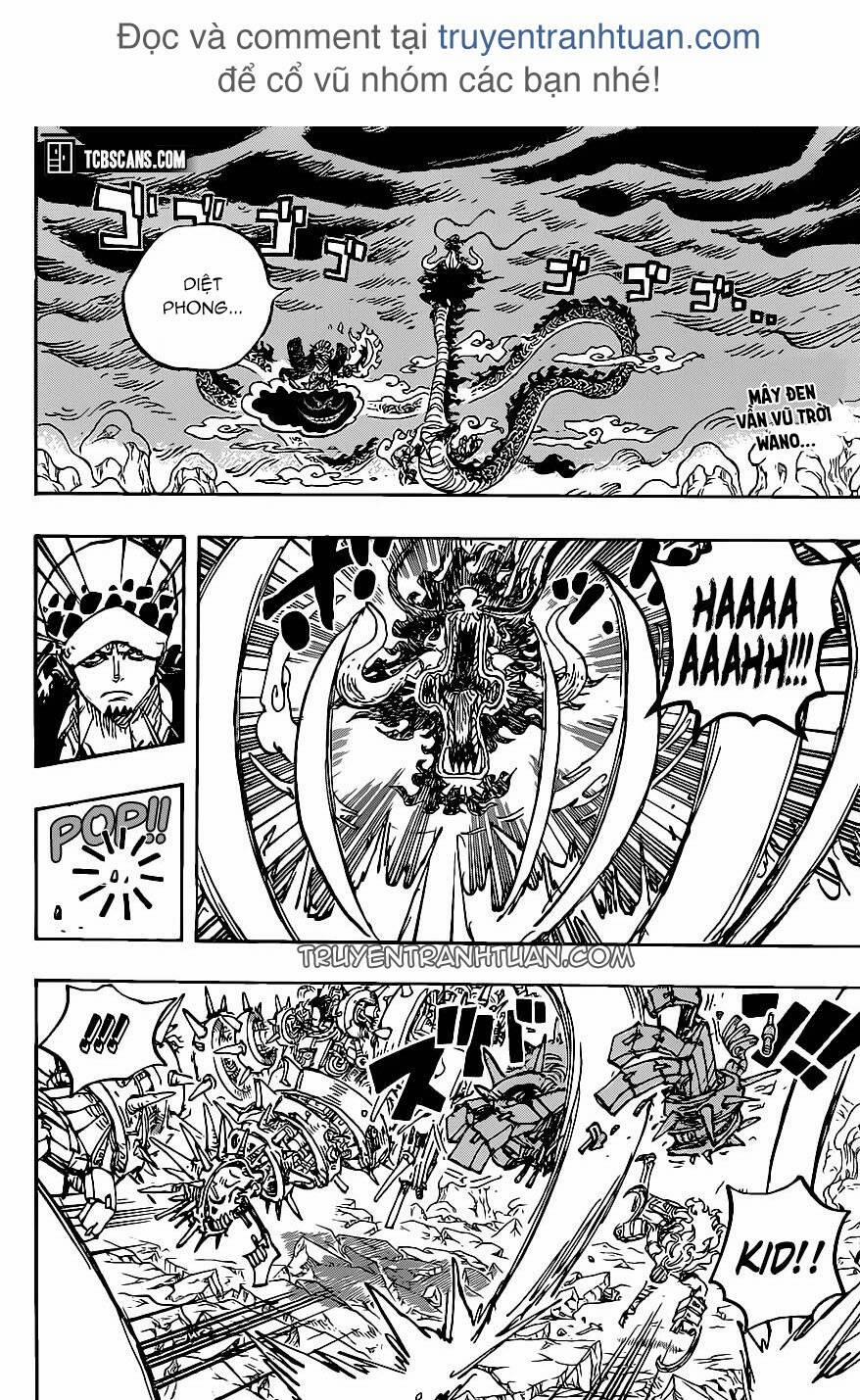 One Piece 1002 trang 0