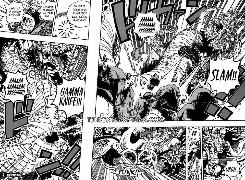 One Piece 1002 trang 3