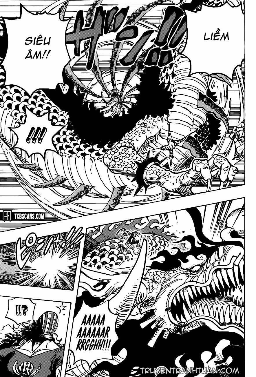 One Piece 1002 trang 5