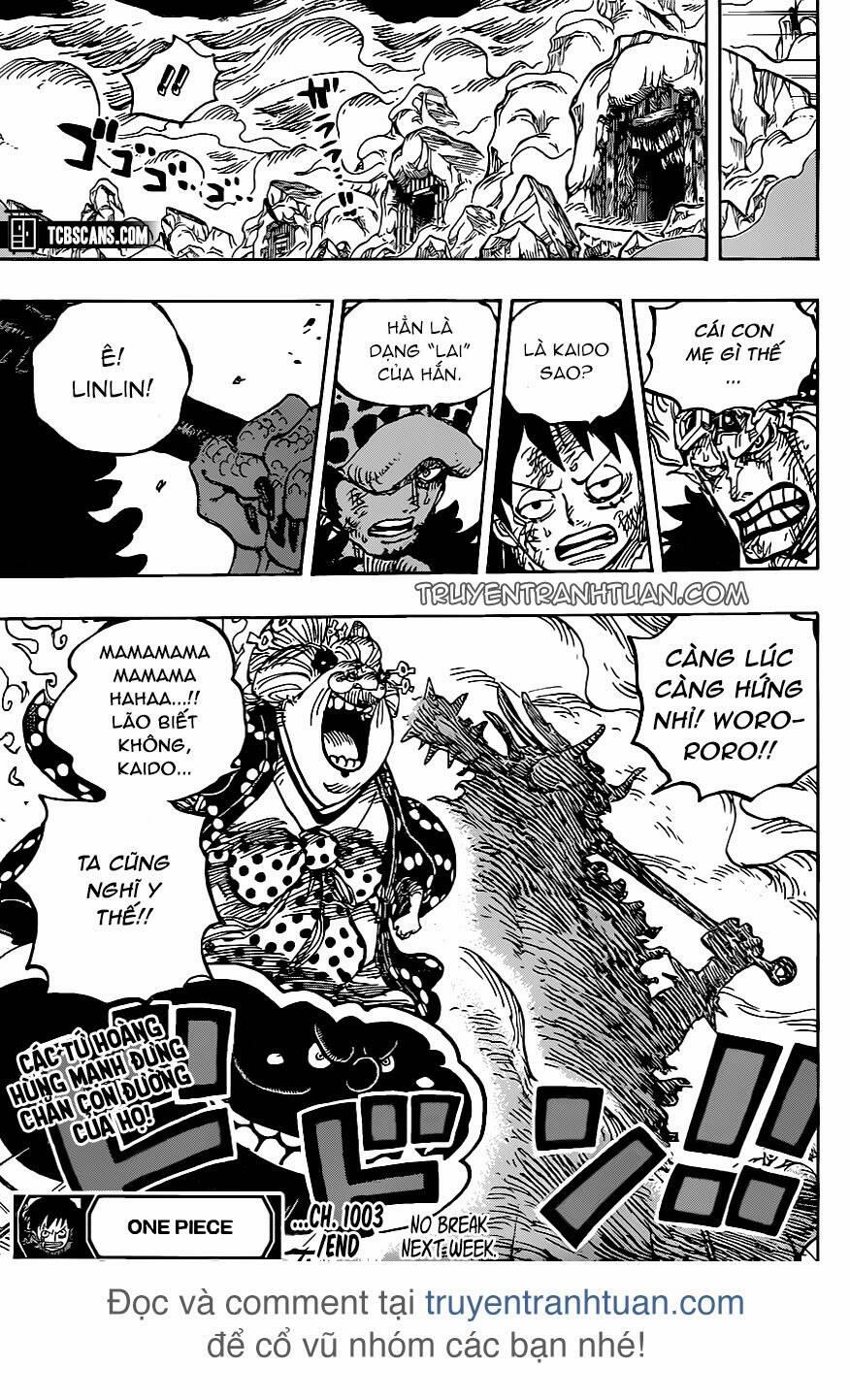 One Piece 1003 trang 11