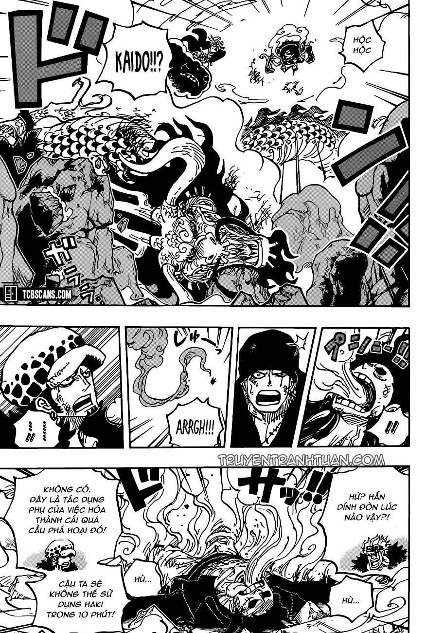 One Piece 1003 trang 2