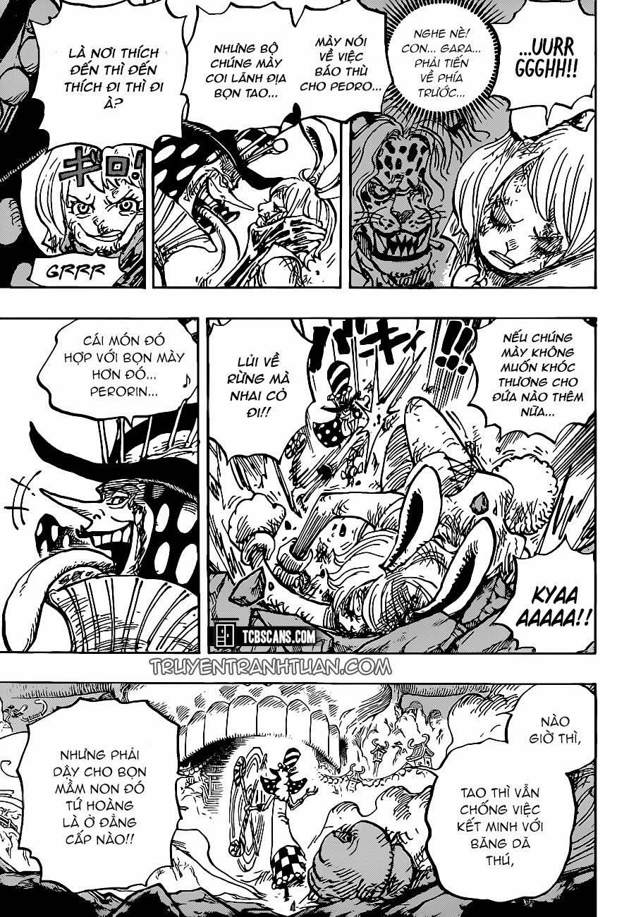 One Piece 1006 trang 4