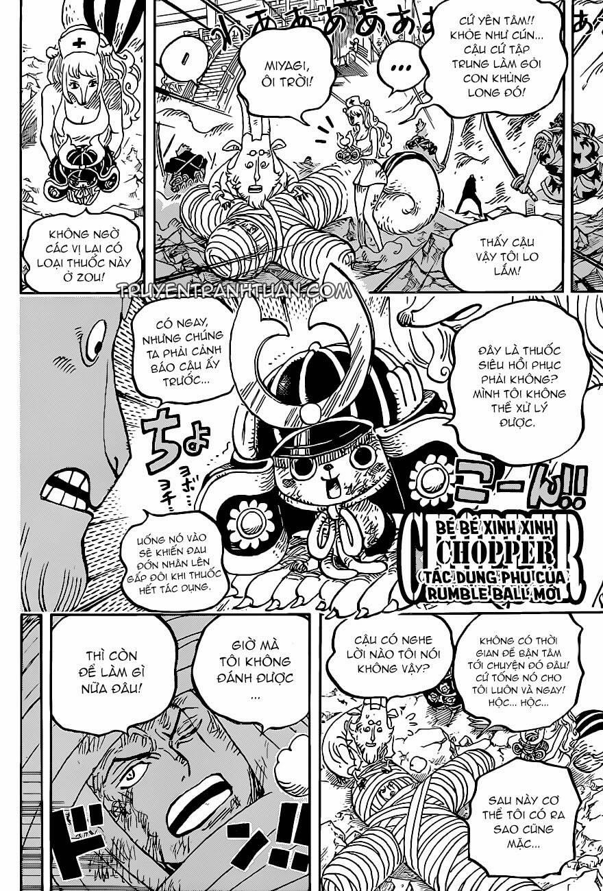 One Piece 1017 trang 10