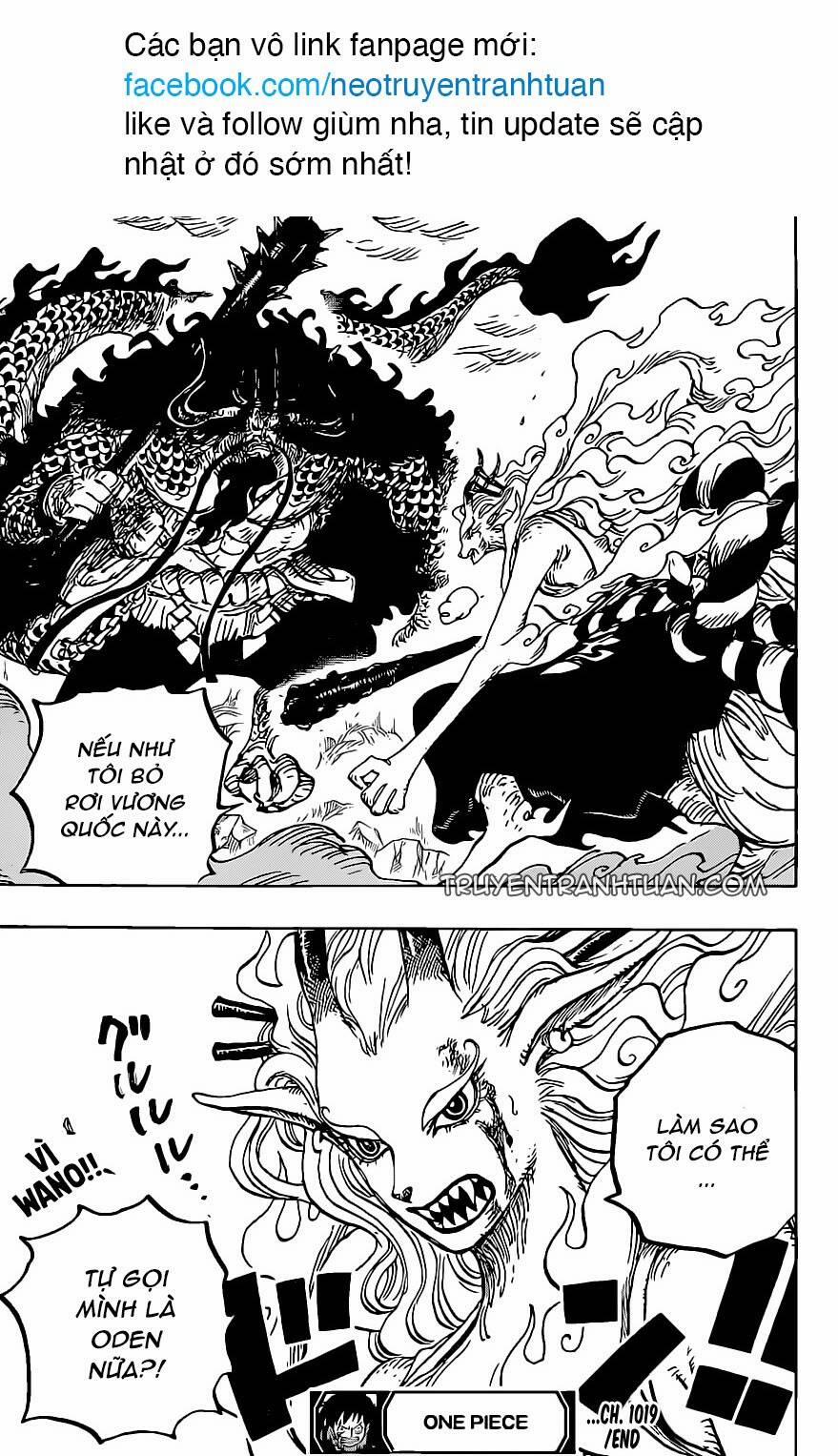One Piece 1019 trang 17