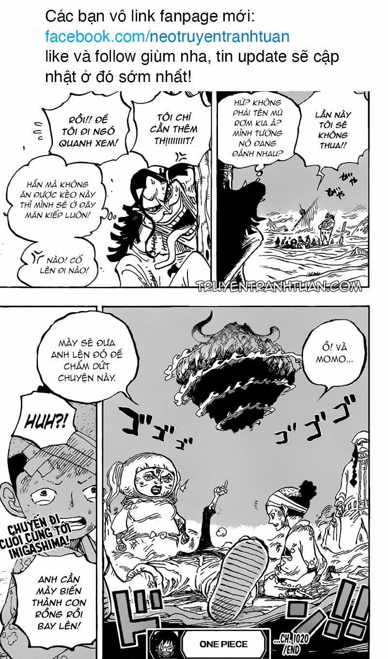 One Piece 1020 trang 15