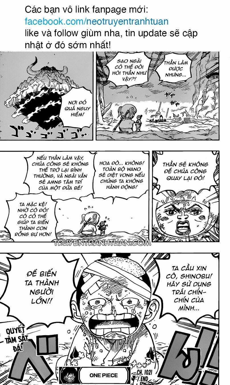 One Piece 1021 trang 14