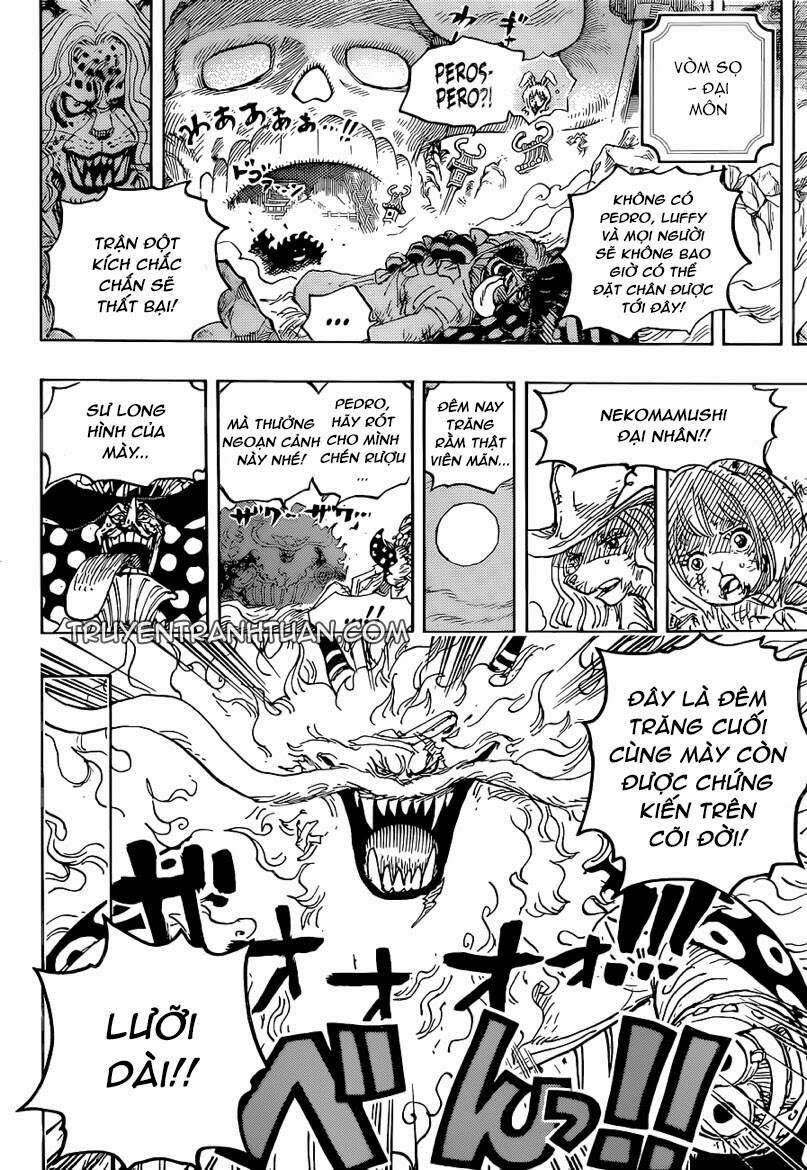 One Piece 1023 trang 13
