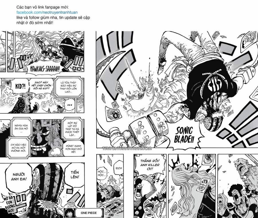 One Piece 1029 trang 12