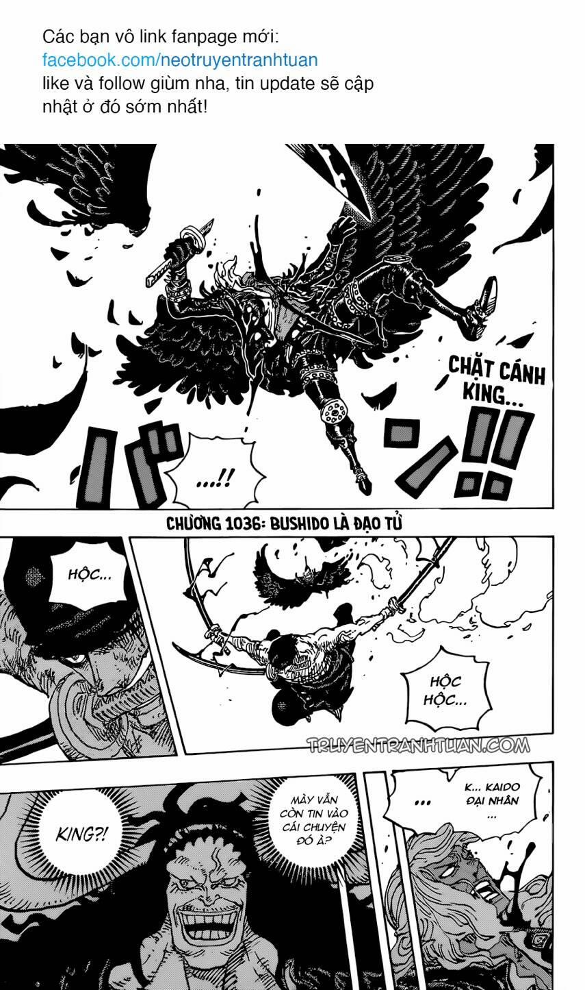 One Piece 1036 trang 0