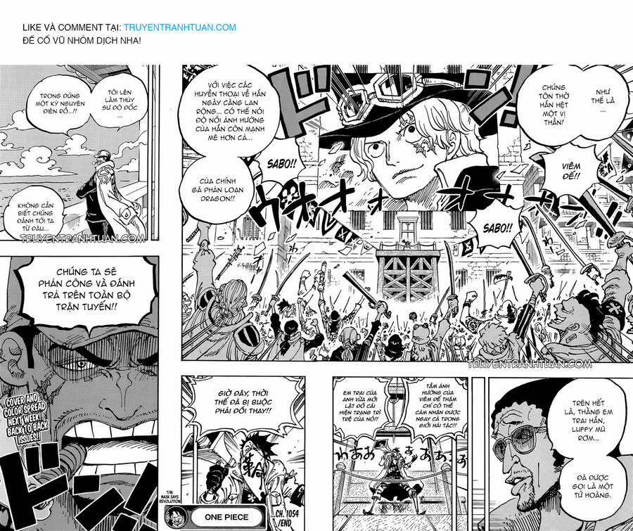 One Piece 1054 trang 14
